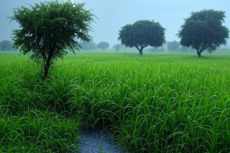 झमाझम बारिश ने शहरवासियों को बड़ी राहत