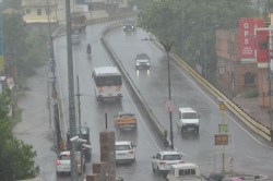 Rain Alert: जोधपुर में दिनभर उमस के बाद शाम को बारिश ने दी राहत, 2 दिन बरसात की
और संभावना - image