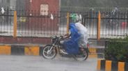 rajasthan rain