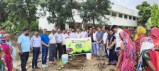 आबूरोड. पौधरोपण कार्यक्रम में मौजूद अधिकारी, जनप्रतिनिधि व शहर के नागरिक।
