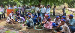 धरा को हरा-भरा करने के लिए उठे सैकड़ों हाथ, भावी पीढ़ी को समझाया पेड़ों का महत्व - image