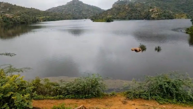 सिरोही. बारिश के बाद लबालब भरा चिनार बांध।