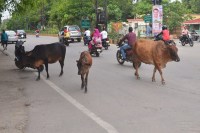 घर से निकलें तो सावधानी जरूरी (Photo source- Patrika)