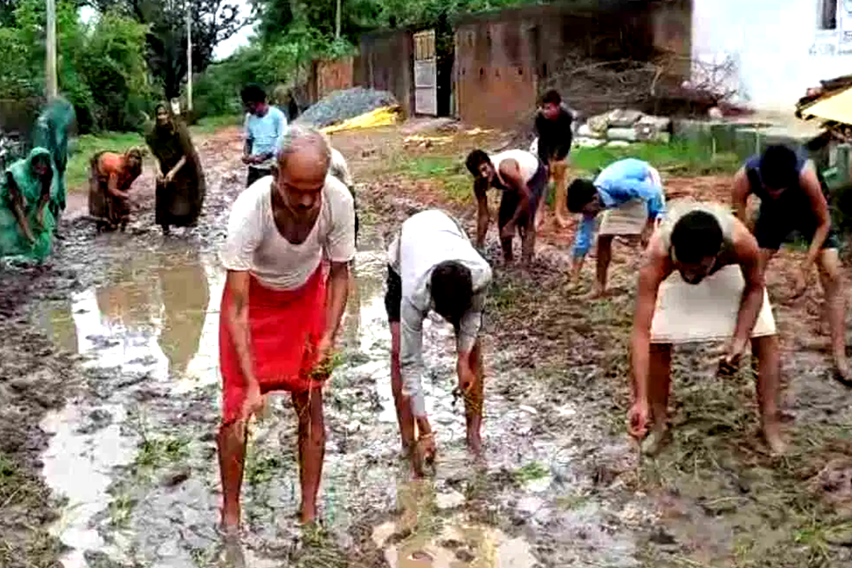 यहां सड़कों पर खेती कर रहे लोग, वजह कर देगी आपको हैरान