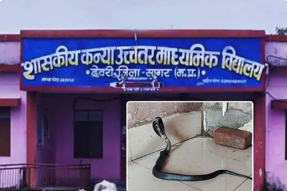 सरकारी स्कूल में जहरीले सांपों का डेरा, हर दिन निकल रहे नाग-नागिन