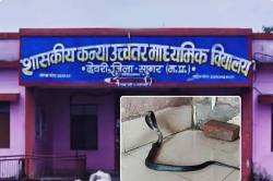 सरकारी स्कूल में जहरीले सांपों का डेरा, हर दिन निकल रहे नाग-नागिन - image
