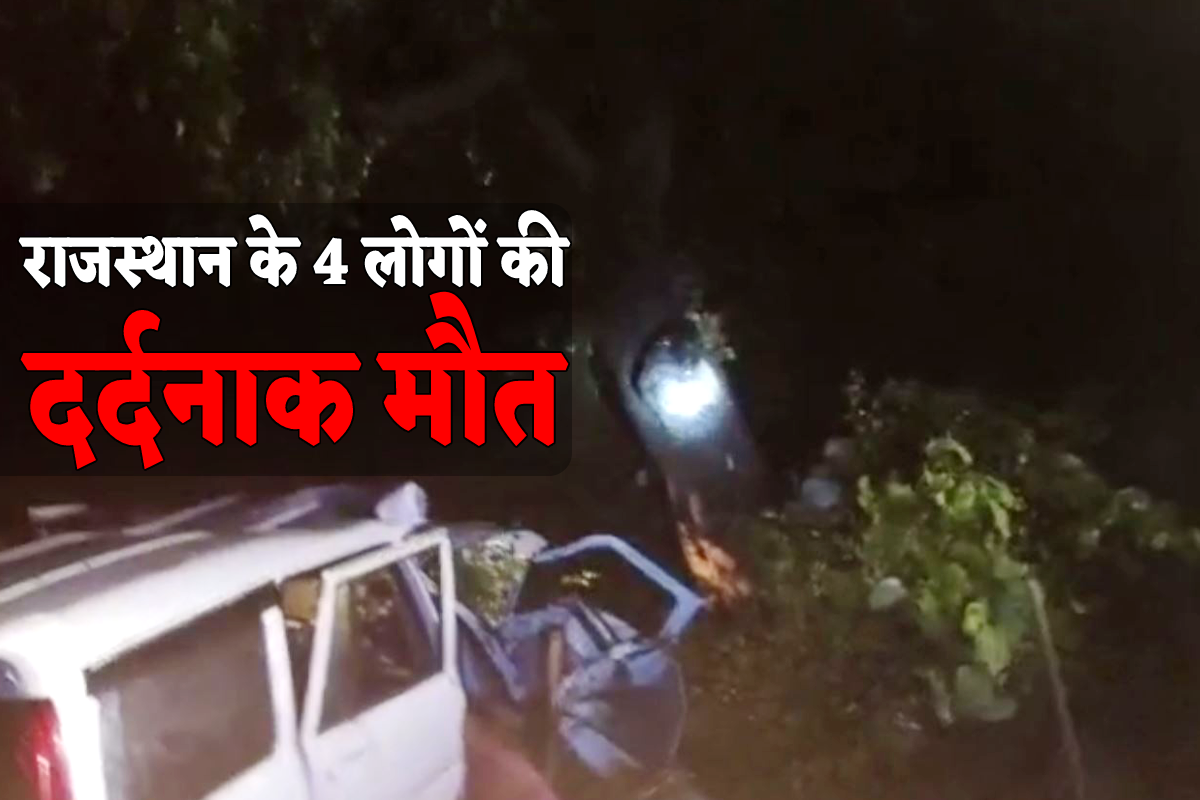 सड़क पर गाय बचाने के चक्कर में पेड़ में जा घुसी कार, राजस्थान के 4 लोगों की
दर्दनाक मौत