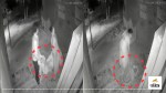 shackles of relationships broke left elderly mother in dark of night in In Ramnagari