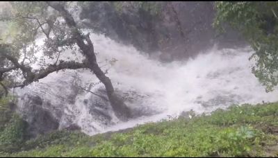 Short video poster image