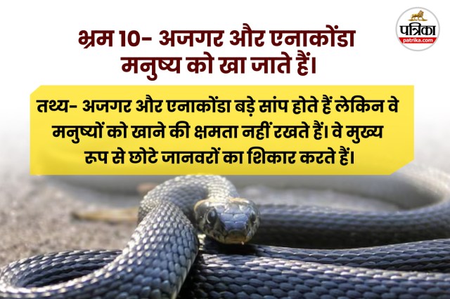 Snake Bites Deaths in india