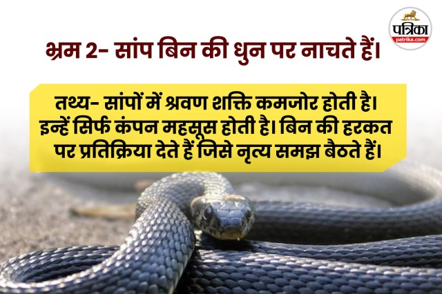 Snake Bites Deaths in india