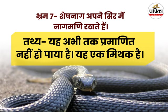Snake Bites Deaths in india