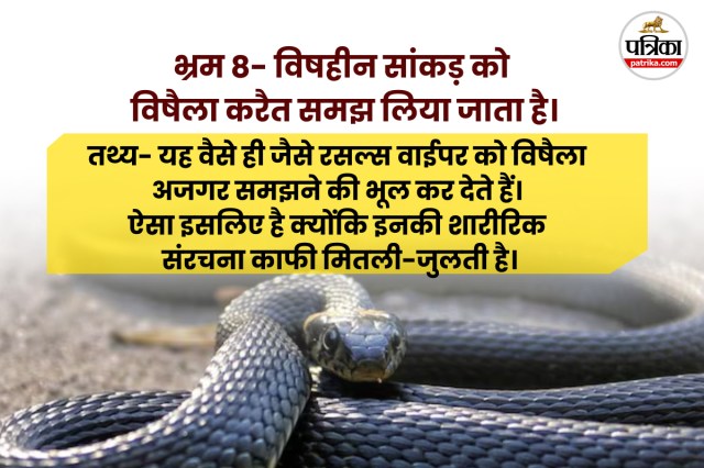 Snake Bites Deaths in india