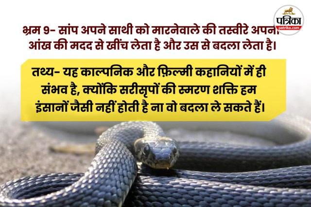 Snake Bites Deaths in india