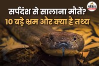 snake bites deaths in india