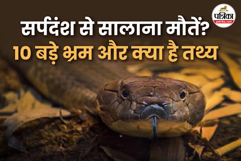 snake bites deaths in india