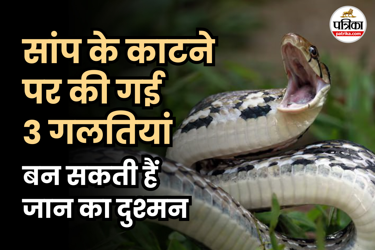 Snake bite first aid steps