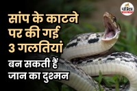 Snake bite first aid steps