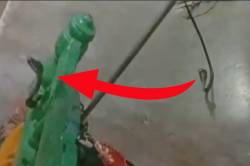 बिस्तर में छिपा था सांप, तकिया हटाते ही फन उठाकर फनफनाया, Video - image