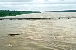 भारी बारिश से बाढ़ का खतरा, 29 गांवों में अलर्ट जारी.. - image