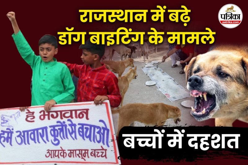 Rajasthan Country dog biting Cases increasing rapidly children are becoming victims fear among public