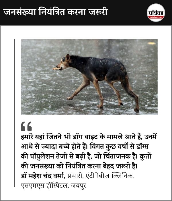 Rajasthan Dog Biting