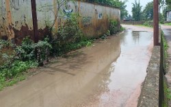 नगर पालिका अध्यक्ष के घर के सामने वाले वार्ड में दस दिन से नहीं आया पानी,
रहवासियों ने छोड़ी उम्मीद - image