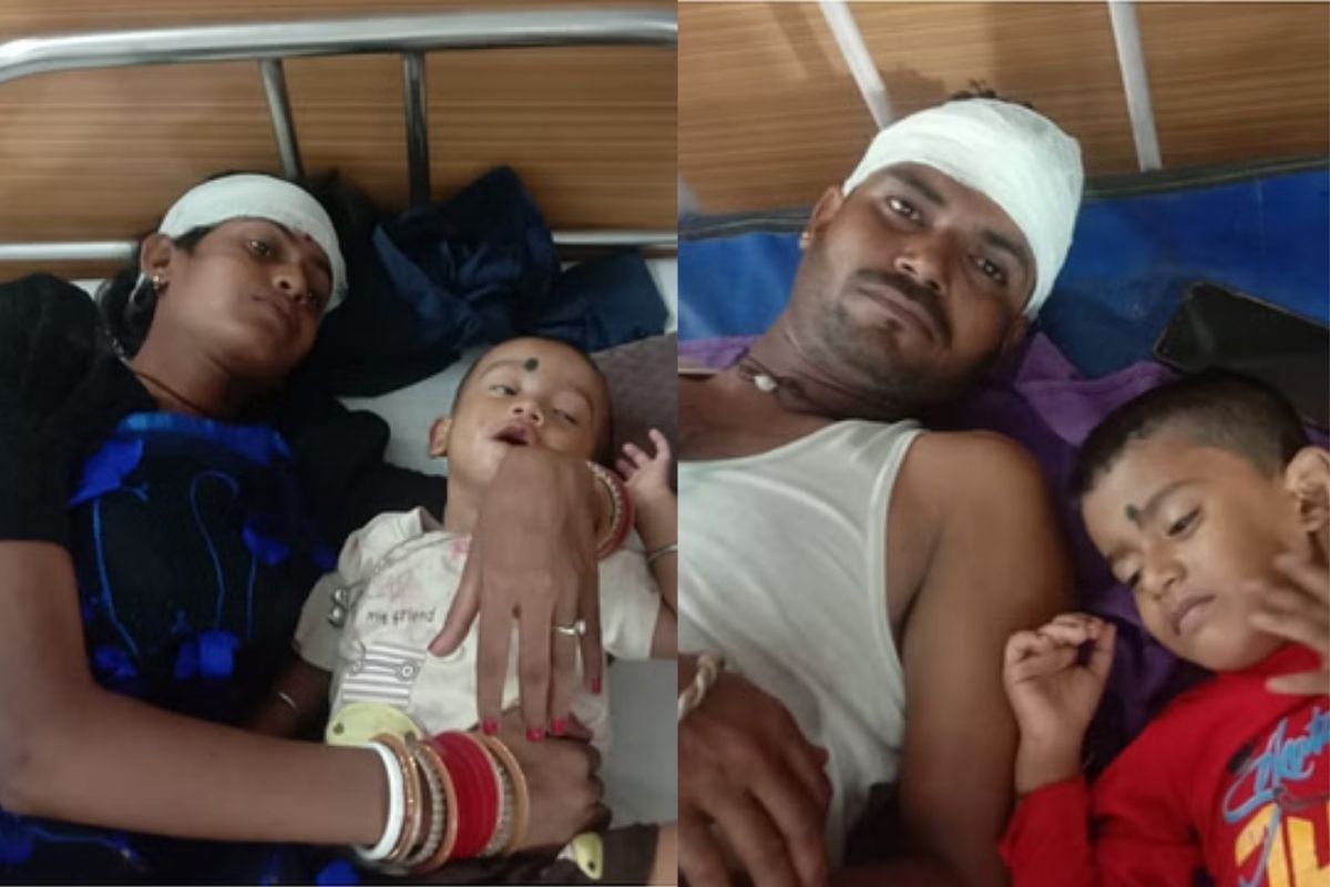बाइक से जा रहे परिवार पर झाड़ियों से निकल बाघ ने किया हमला, महिला गंभीर घायल,
बच्चे और पति भी जख्मी