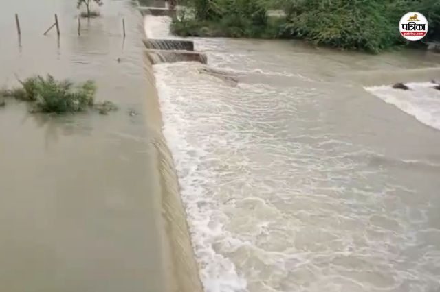 Tonk Heavy Rain