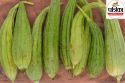 Tori Sabji Benefits : तोरई खाने के एक नहीं कई हैं फायदे, डायबिटिज करे कंट्रोल,
पेट साफ करने के लिए भी रामबाण