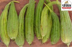 Tori Sabji Benefits : तोरई खाने के एक नहीं कई हैं फायदे, डायबिटिज करे कंट्रोल,
पेट साफ करने के लिए भी रामबाण - image