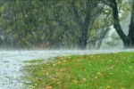 Torrential rain
