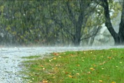 Deadly Rain: पाकिस्तान में बारिश ने मचाई तबाही, 98 लोगों की मौत और 185 घायल - image