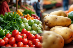 Vegetables Price Hike : आलू-कद्दू को छोड़कर बाकी सब्जियां महंगी, गिलकी-शिमला
मिर्च 120 रुपए किलो - image
