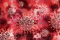 Kerala on High Alert: Nipah Virus Outbreak Spreads to Six Districts