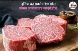 इस जानवर का मांस दुनिया का सबसे महंगा मीट, खाने से बनी रहेगी जवानी…कीमत जानकर उड़
जाएंगे आपके होश - image