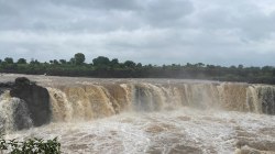 Monsoon alert : बरगी बांध के 15 गेट खुले तो नर्मदा ने दिखाया रौद्र रूप - image