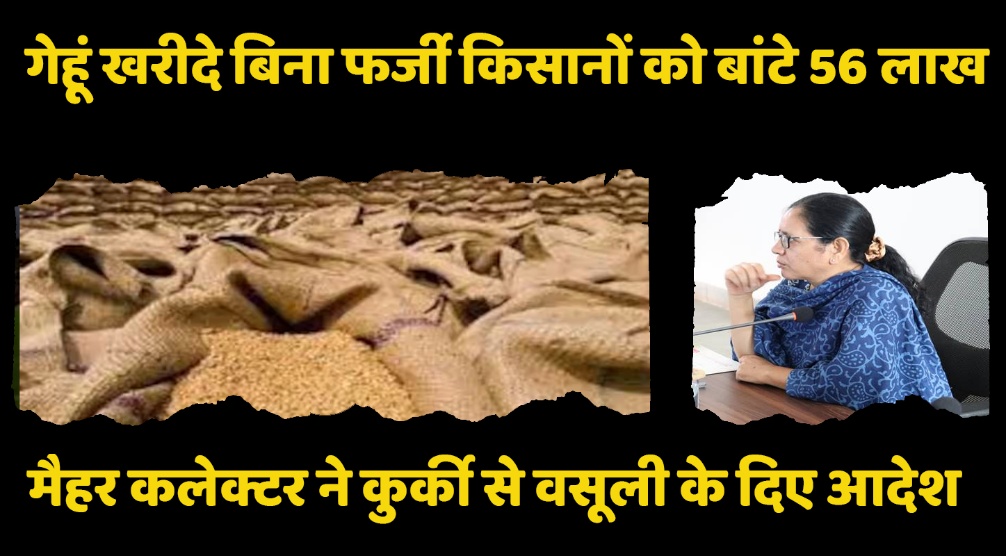₹ 56 लाख के ‘कागजी गेहूं’ खरीदी पर वसूली का आदेश, संपत्ति कुर्क करने आरआरसी जारी
