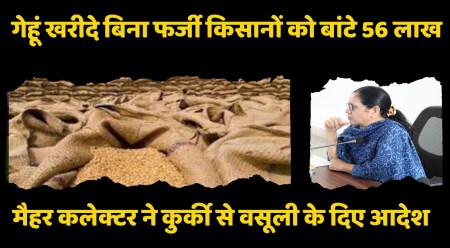 समर्थन मूल्य गेहूं खरीदी