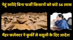 ₹ 56 लाख के ‘कागजी गेहूं’ खरीदी पर वसूली का आदेश, संपत्ति कुर्क करने आरआरसी जारी - image