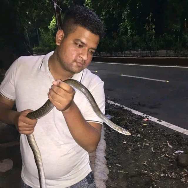 snake Girl