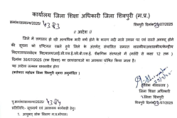 शिवपुरी जिले में भारी बारिश के चलते स्कूलों की छुट्टी घोषित, आदेश जारी - image