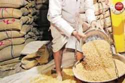 सरकारी राशन की कालाबाजारी का पर्दाफाश, 125 कुंटल अनाज किया गबन, 34 कार्डधारकों
ने खोली राशन विक्रेता की पोल, एफआईआर दर्ज - image