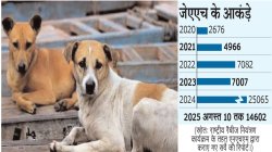 कुत्तों की दहशत बरकरार : शहर के तीन सरकारी अस्पताल में डॉग बाइट के पीड़ितों का
बढ़ा ग्राफ - image