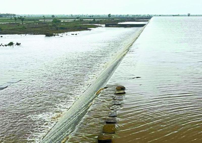 प्राथमिक अनुमान के अनुसार सोयाबीन में करीब 15 से 16 हजार हैक्टेयर में खराबे का अनुमान लगाया जा रहा है। वहीं मक्का की फसल में करीब 6 हजार तथा उड़द में 2 हजार से अधिक हैक्टेयर में नुकसान अनुमानित है।