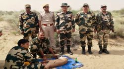 तारबंदी में फंसे घायल हिरण को बीएसएफ जवानों ने बचाया - image