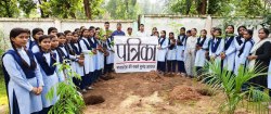 भावी पीढ़ी को पर्यावरण के प्रति जागरूक करने 51 फलदार व छायादार पौधों का किया
रोपण - image