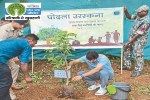 एक पेड़ शहीदों के नाम (Photo source- Patrika)