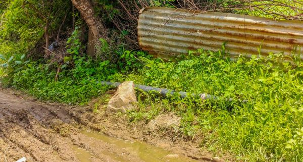 Poisonous water used for farming 
