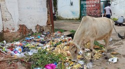 शहर में सफाई व्यवस्था ठप, जगह-जगह लगा कचरे का ढेर - image